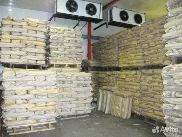 Рыба кета горбуша кижуч нерка