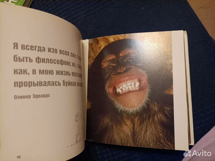 Фото животных