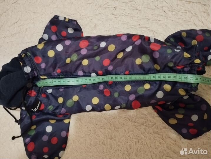 Комбез на китайскую хохлатую