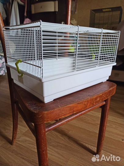 Клетка для мелких грызунов