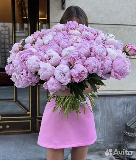Купить пионы