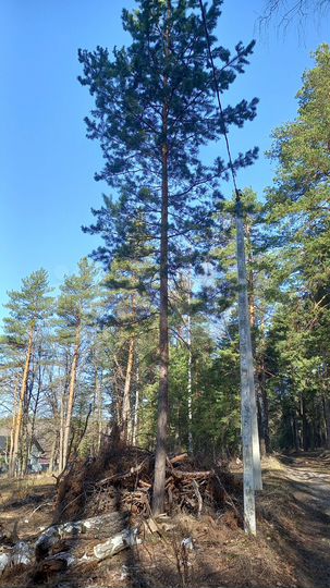 Участок 7,5 сот. (ИЖС)