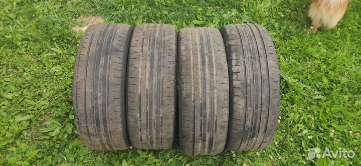 Continental ContiPremiumContact 5 215/60 R16 95H