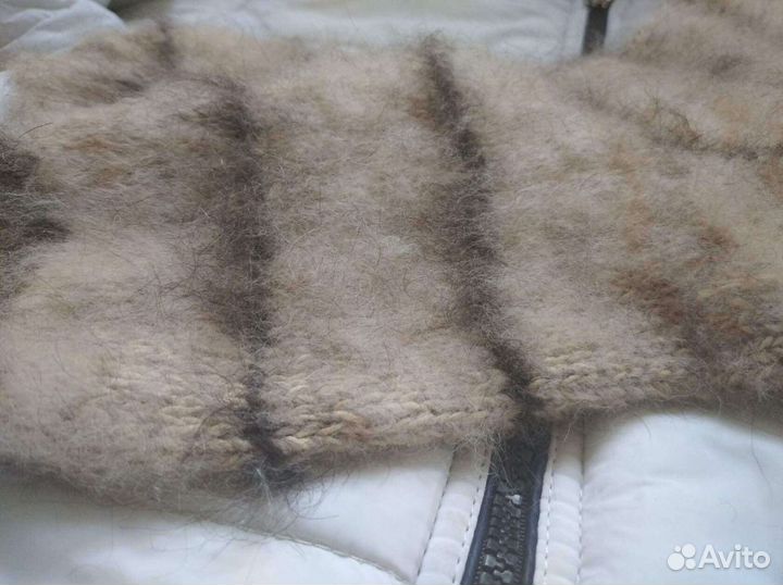 Носки собачья шесть