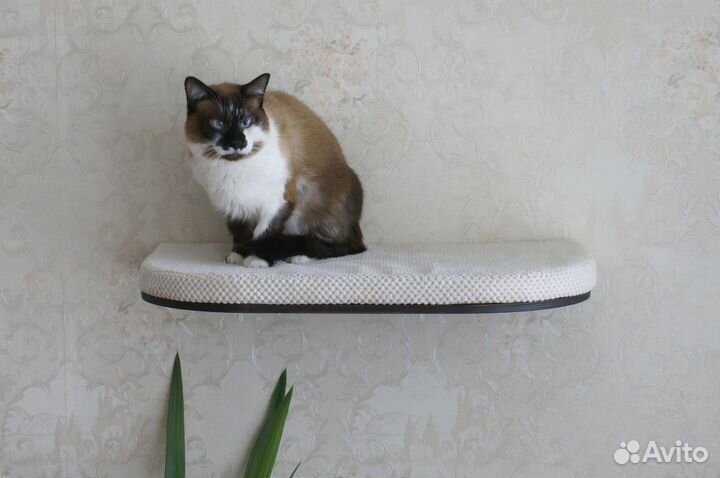 Настенная парящая полка лежанка для кошек