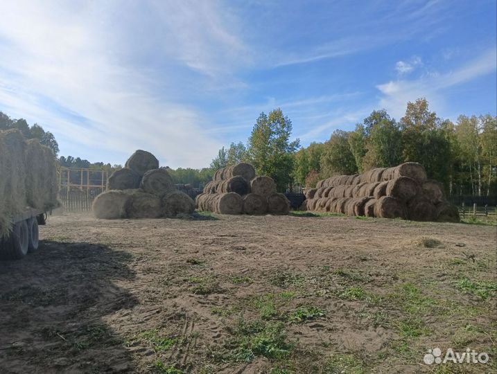 Сено в рулонах 2023