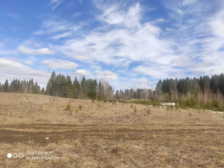 Участок 6 га (СНТ, ДНП)