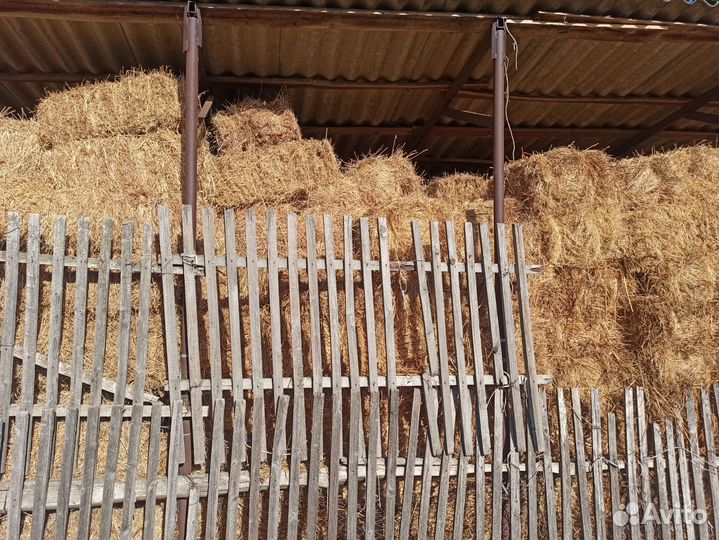 Сено в тюках разнотравие