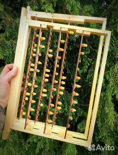 Нативное маточное молочко