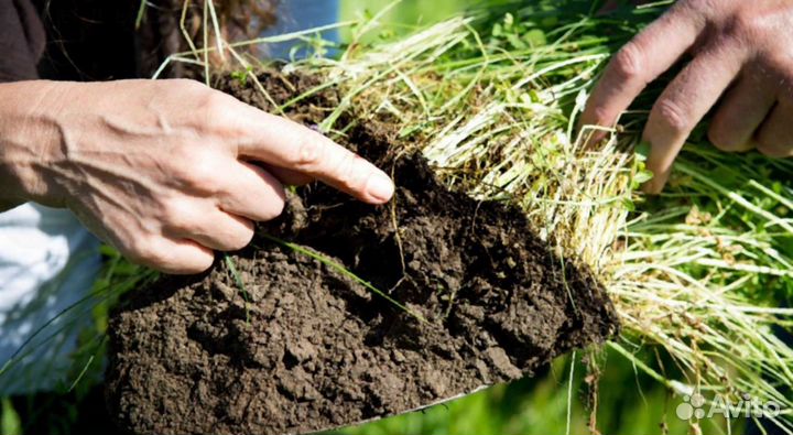 Плодородный грунт