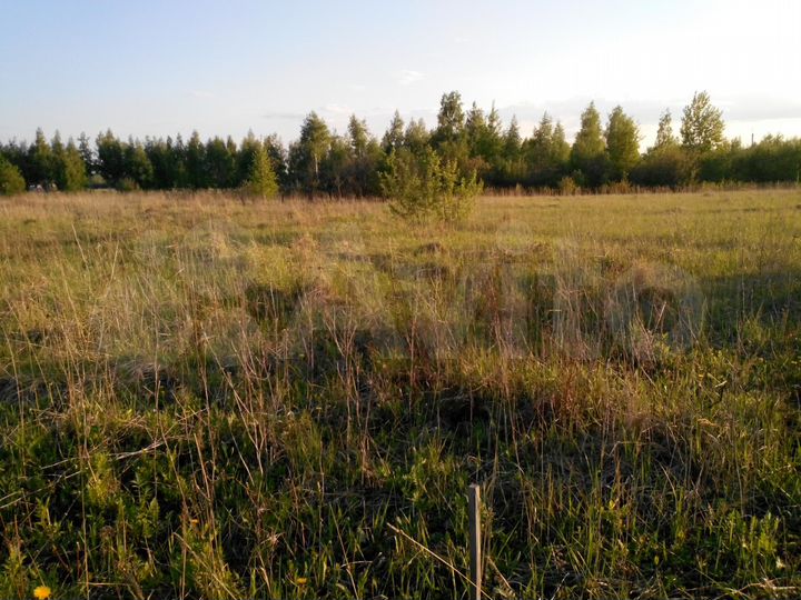 Участок 15 сот. (ИЖС)