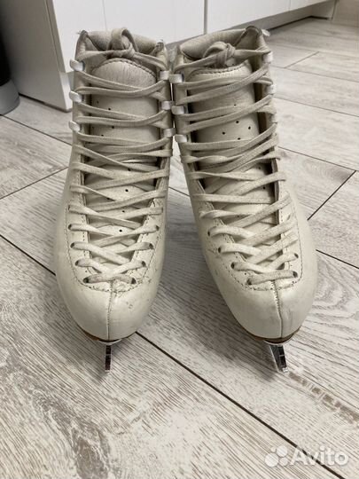 Коньки Edea Chorus