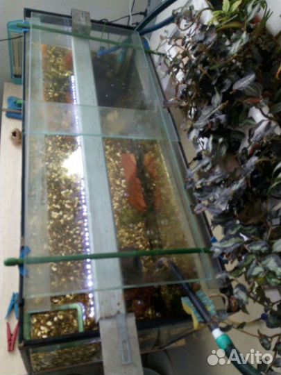 Аквариум 200 литров