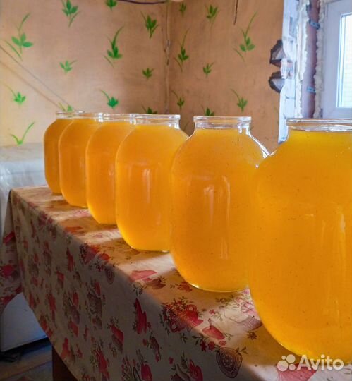 Мёд урожай 2023