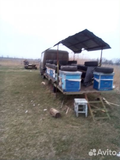 Продается пасека