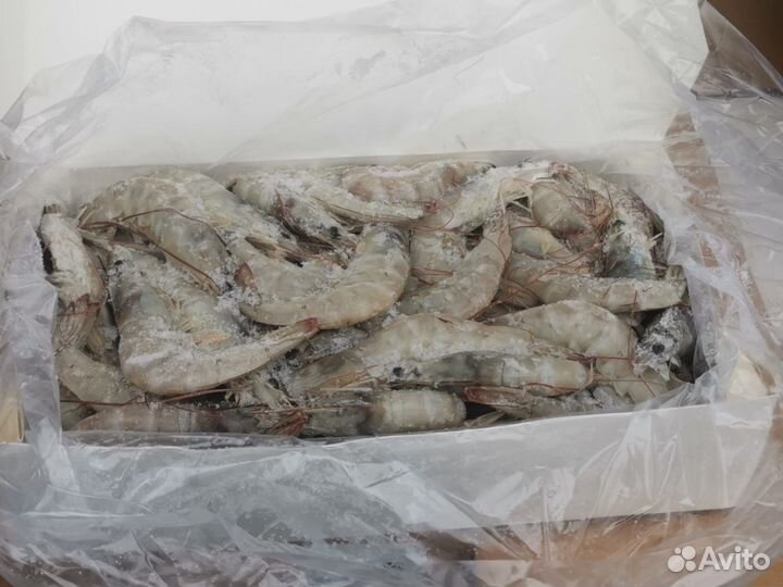 Креветки Иран