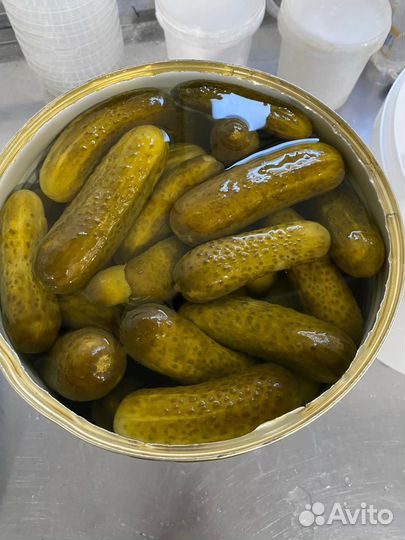 Огурцы маринованные жб 10кг оптом