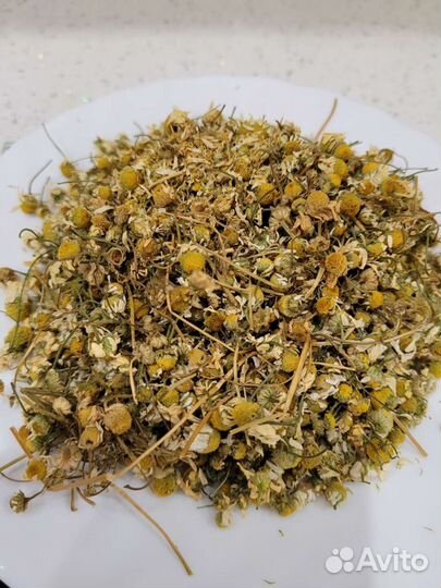 Ромашка аптечная лекарственная