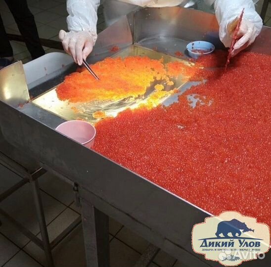 Красная икра на праздник опт