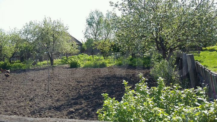 Участок 20 сот. (ИЖС)