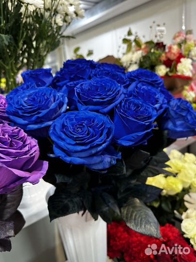 Синяя Роза крашеная Роза