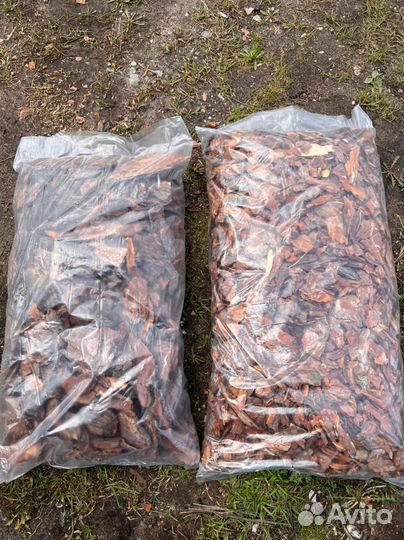 Кора сосны мульча