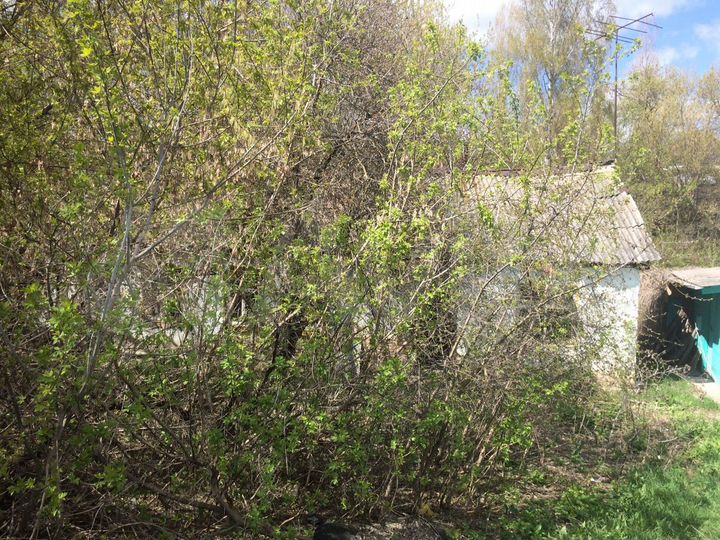 Участок 3 сот. (ИЖС)