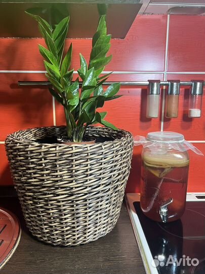 Кашпо из ротанга 16 литров