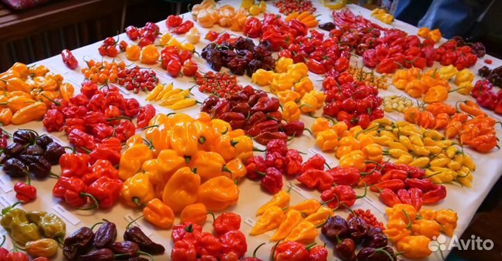 Перец Острый