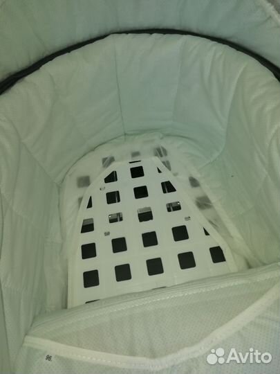 Коляска 2 в 1 adamex