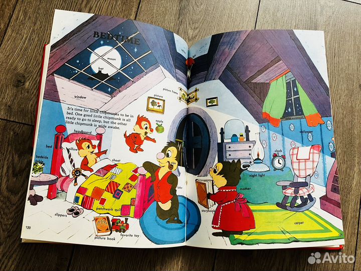 Большой словарь дисней