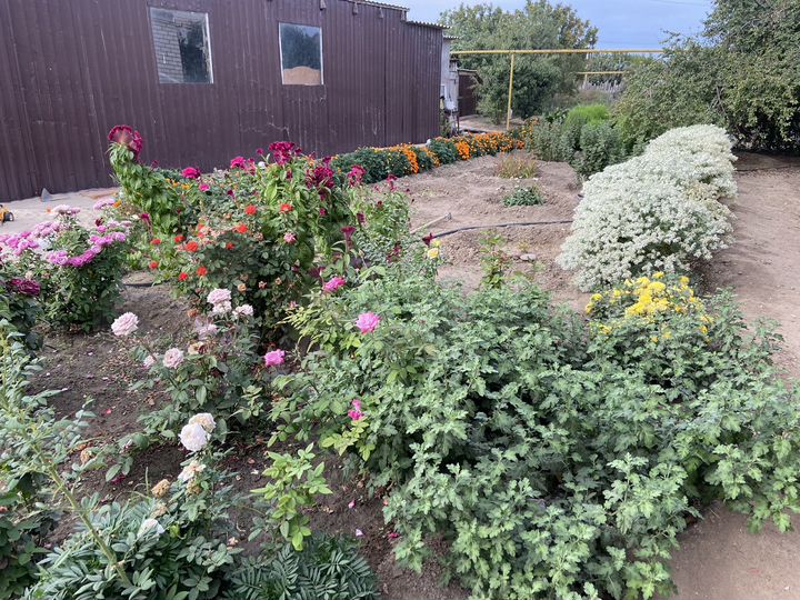 Дом 240 м² на участке 15 сот.