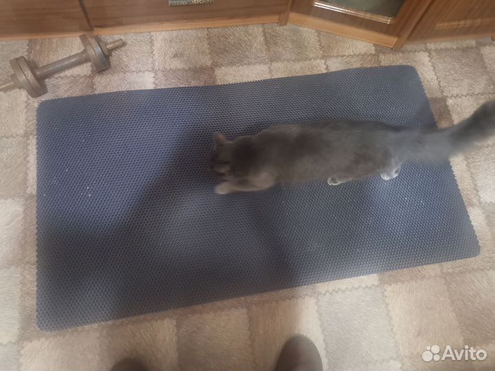 Эко Коврик ева под лоток миску для кошки и собаки