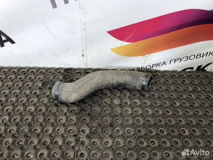 1810493 Патрубок радиатора Daf XF106