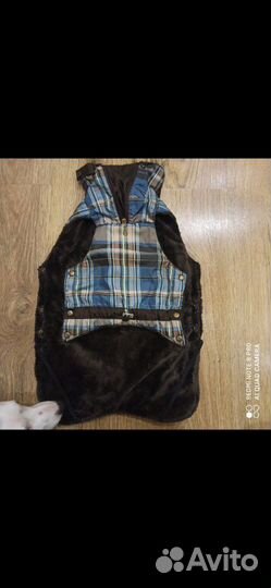 Попона для собак