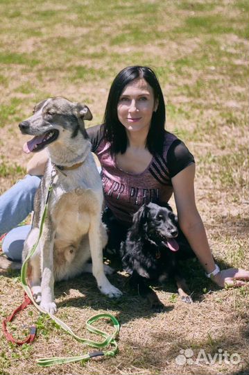 Кинолог зоопсихолог