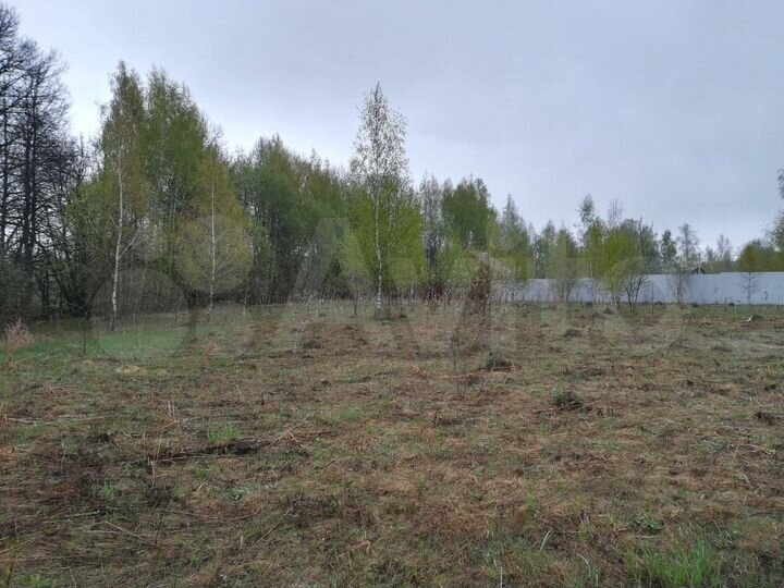 Участок 29 сот. (СНТ, ДНП)