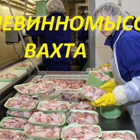 Оператор линии. Вахта. Невинномысск