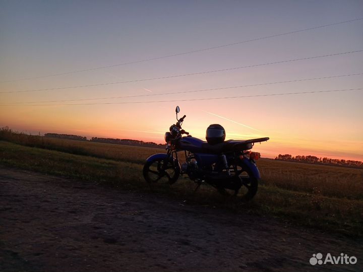 Альфа ягуар 110