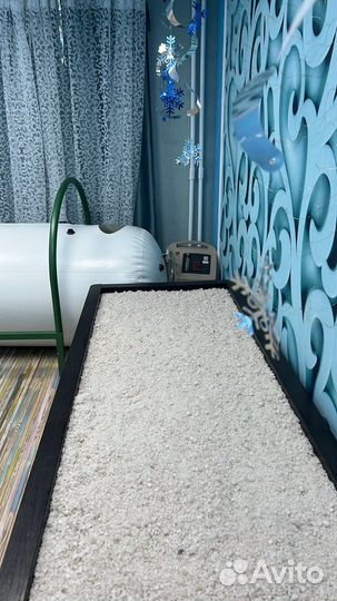 Нейропсихолог/дефектолог/логопед