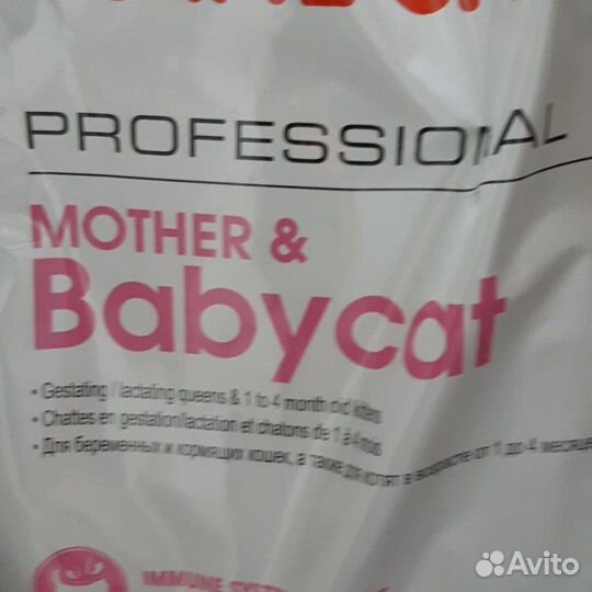 Корм для котят Babycat бэбикет роял канин 10 кг