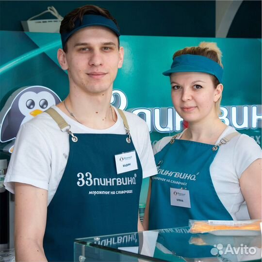 Продавец в федеральную сеть мороженого 33 пингвина