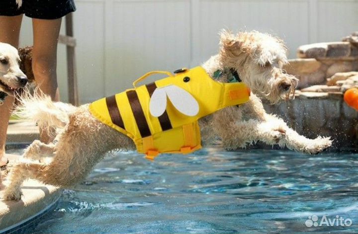 Жилет спасательный для собак