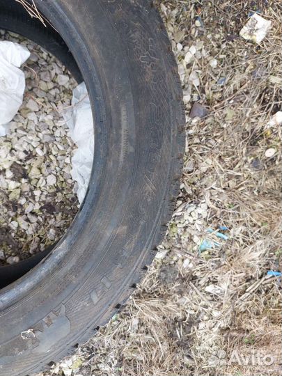 Gislaved Nord Frost 5 235/55 R17