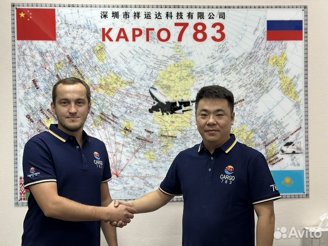 Карго 250 мм с доводчиком. Vp3fiu10c359aa карго. Карго на скрытых направляющих. Бутылочница 300 мм с доводчиком. Карго 783.