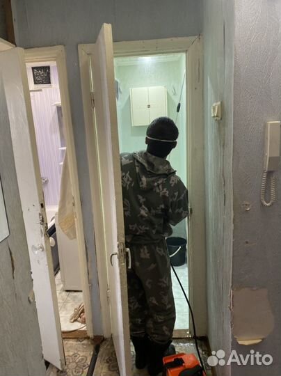 Профессиональное уничтожение все насекомых