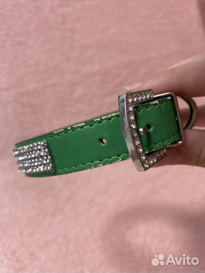 Ошейник для собак