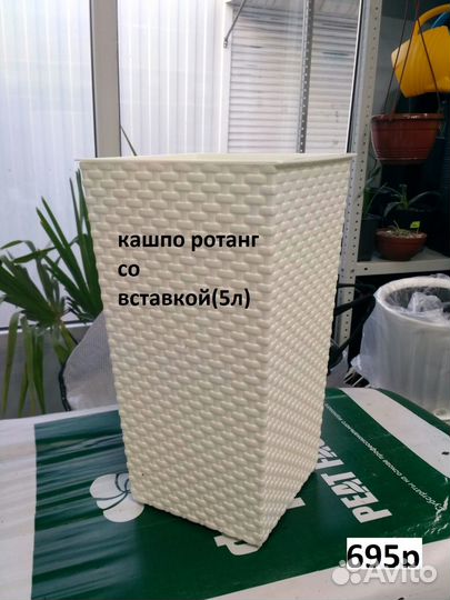 Большие напольные кашпо