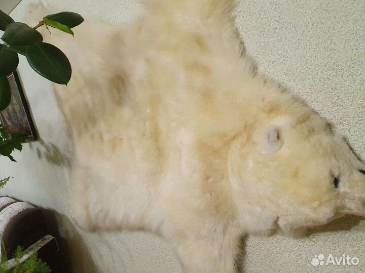 Медведь. Шкура белого медведя ковер, «реплика»
