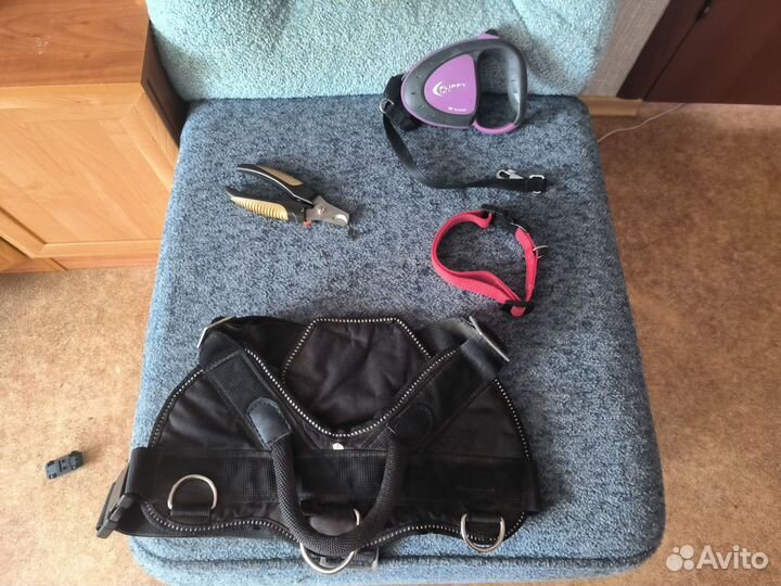 Аксессуары для собак